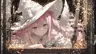 qsrmlhj625's Avatar